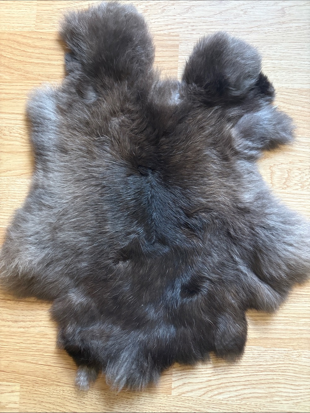 B0192 rabbit pelt